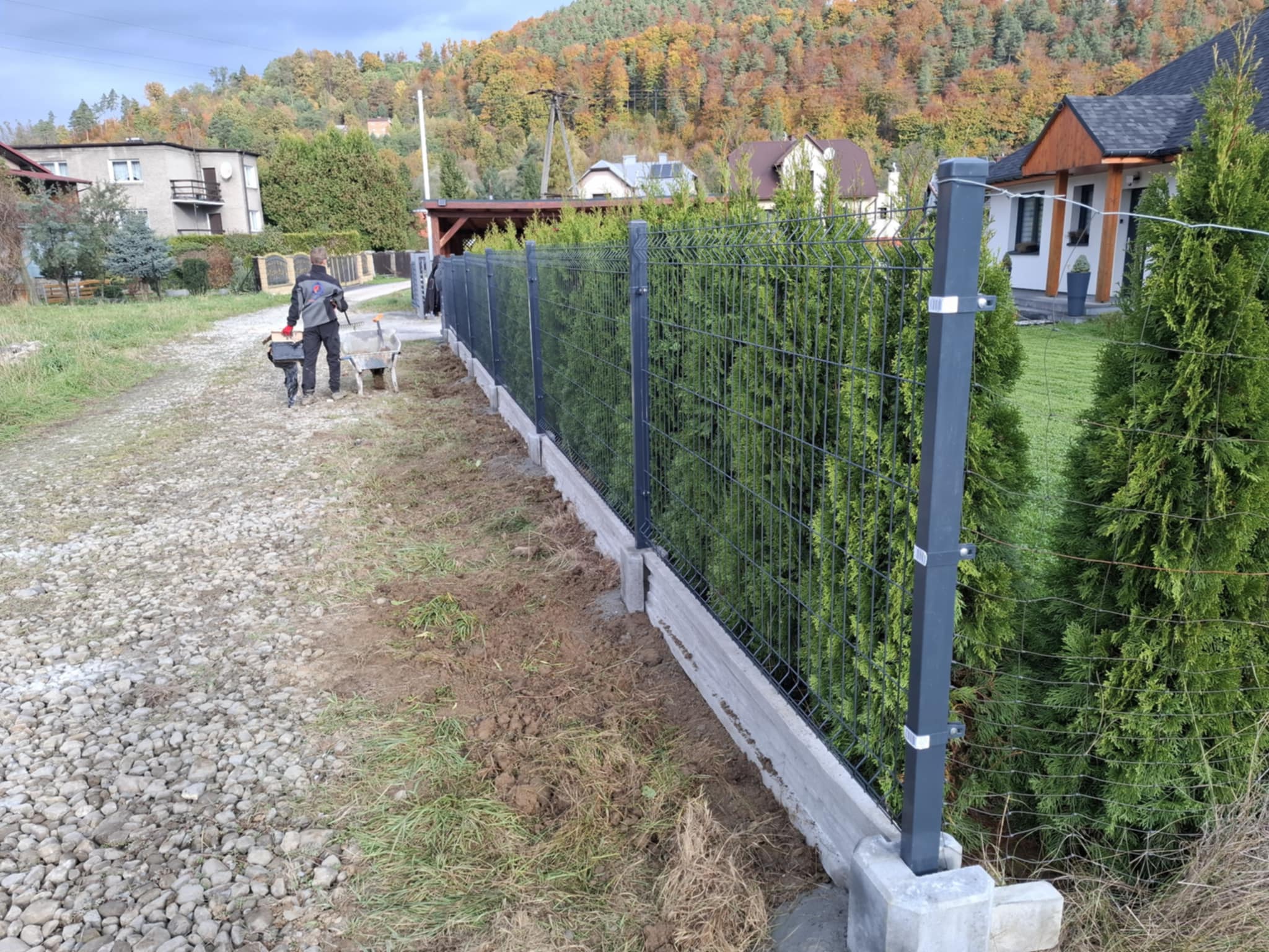 plot1